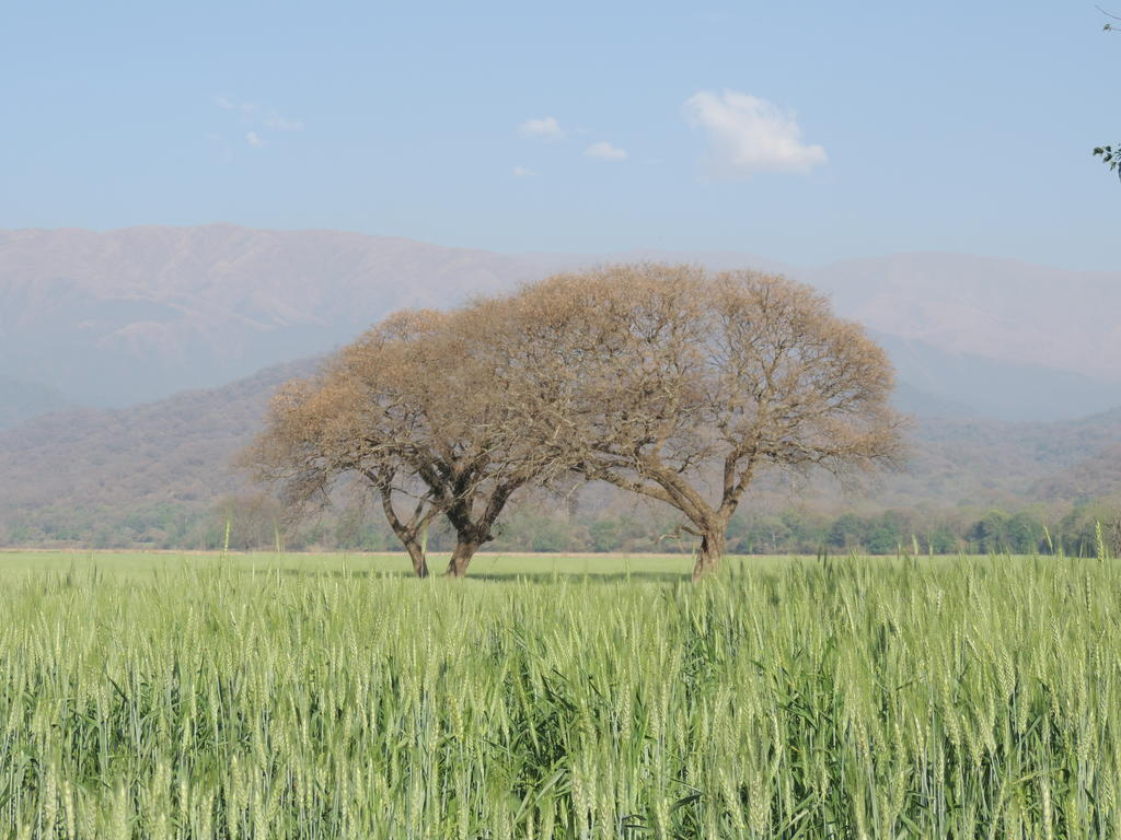 Finca Las Margaritas Chicoana Екстер'єр фото